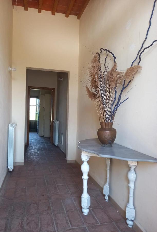 Casa Garibaldi Villa Lucca Eksteriør billede